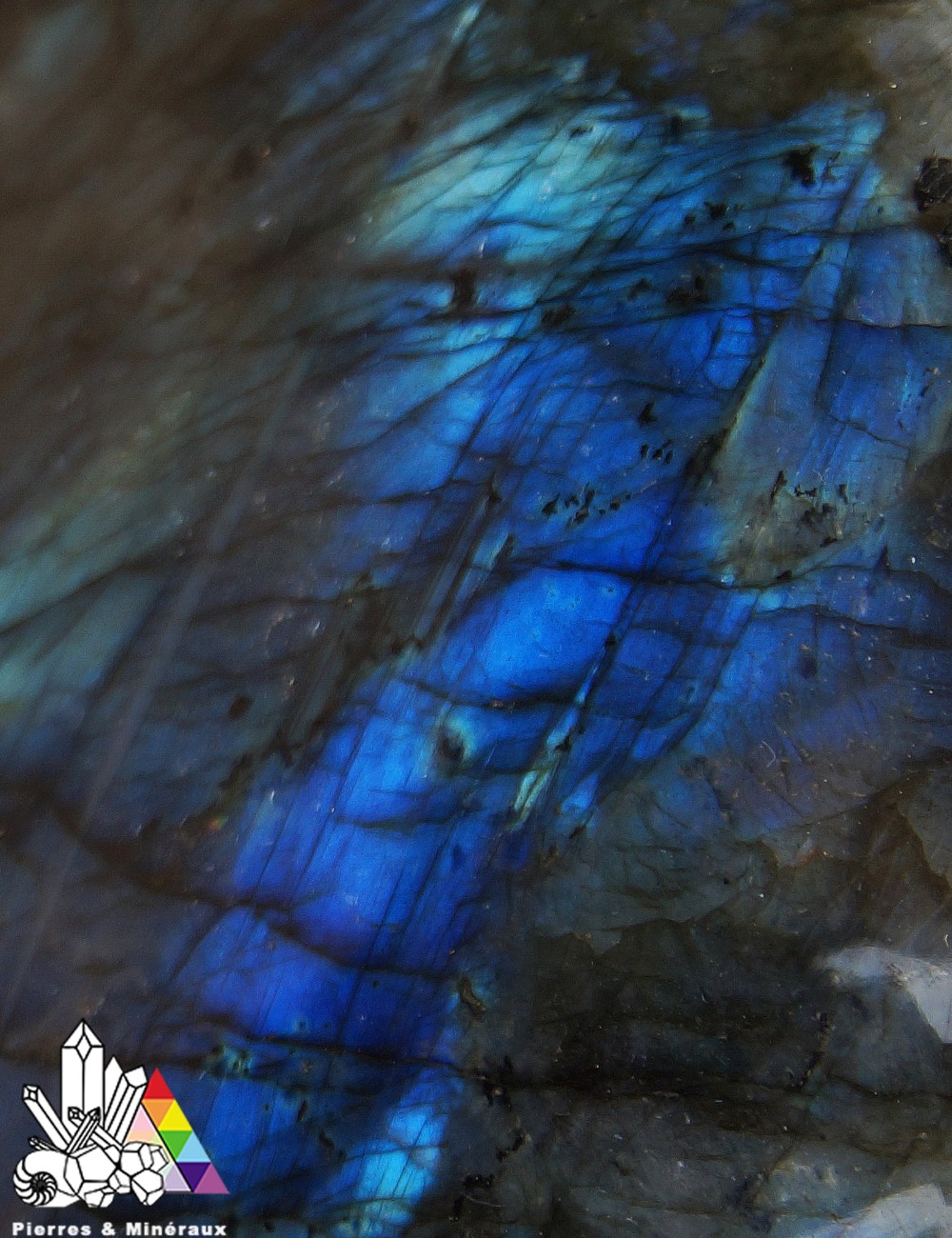 Labradorite Bleue AAA Naturelle Madagascar (590 g) - Puissante